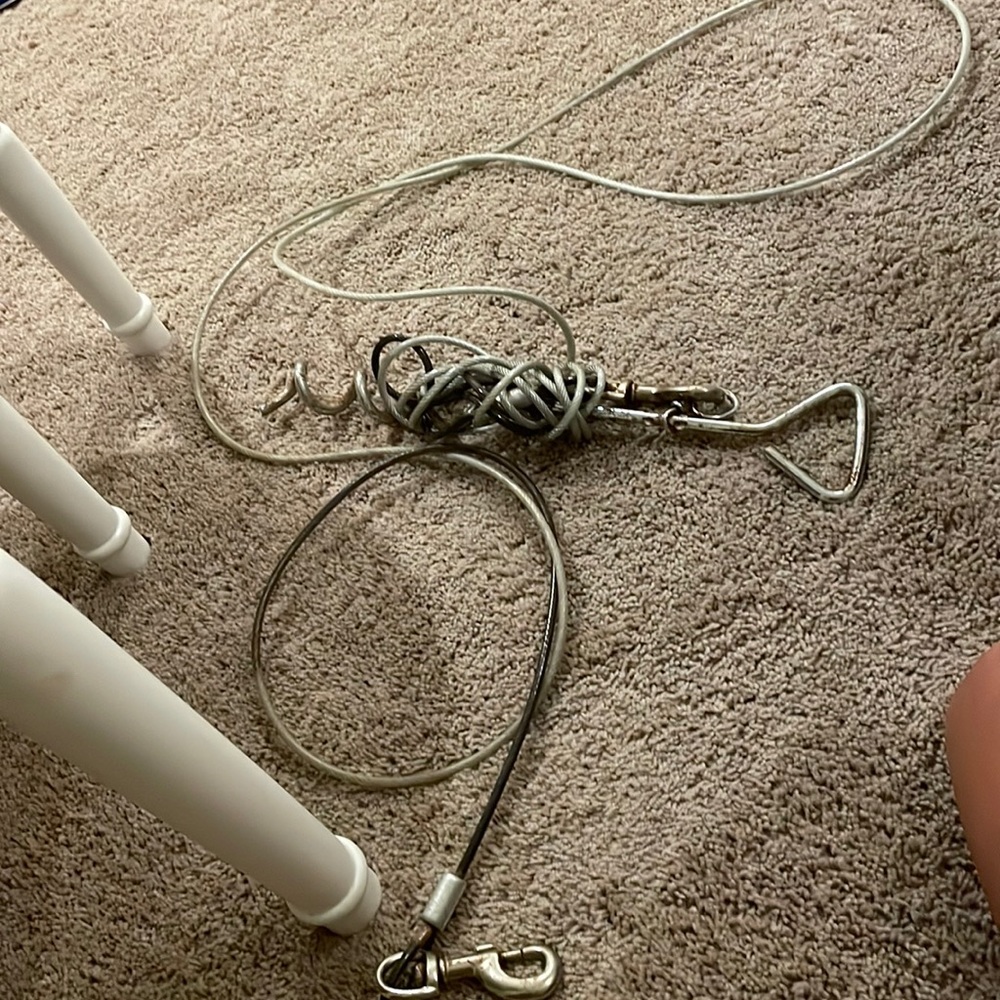 Dog stake and leash for 100 lbs and over dogs